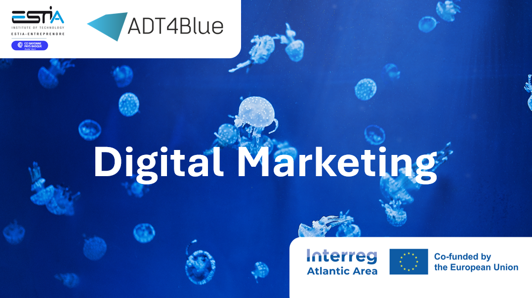 OC3 - Advanced Digital Marketing Strategies for the Blue Economy (Advanced Level)
