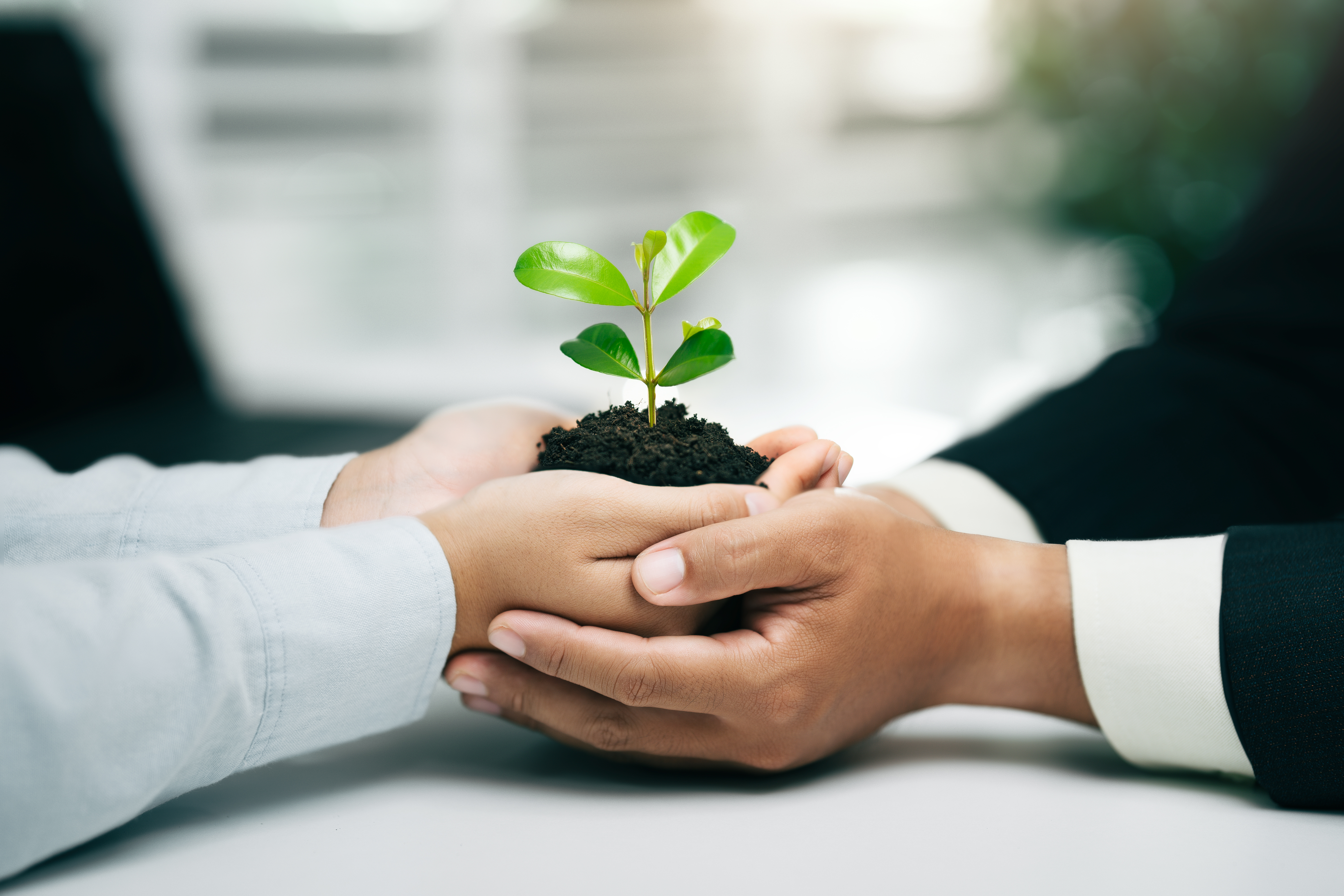 4.4 Media Buying and Sponsorship