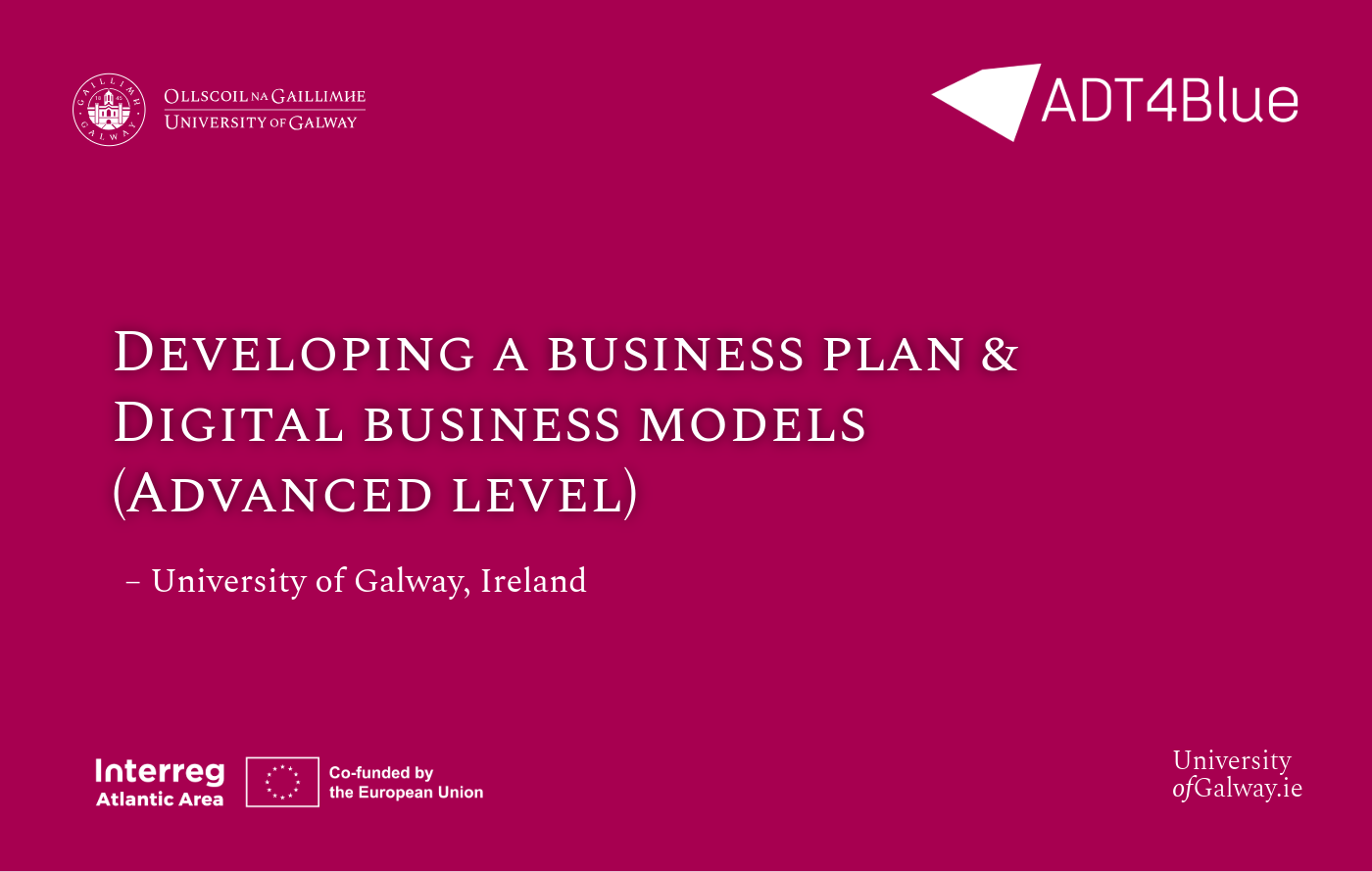 Developing a Business Plan (Advanced Level)